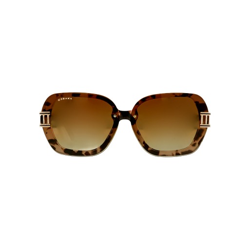 Lunettes de soleil polarisées